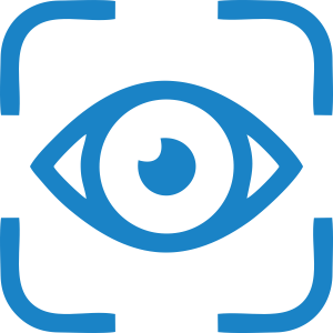 Visión